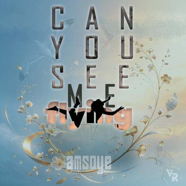 Cover art for Can You See Me Flying